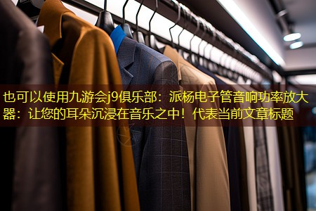 九游会j9俱乐部：派杨电子管音响功率放大器：让您的耳朵沉浸在音乐之中！