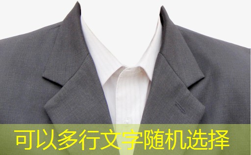 探索电子二分频功率放大器电路在无线扬声器系统中的应用