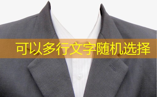 j9九游会：LC-600单端211电子管功率放大器：推荐的音频源类型。