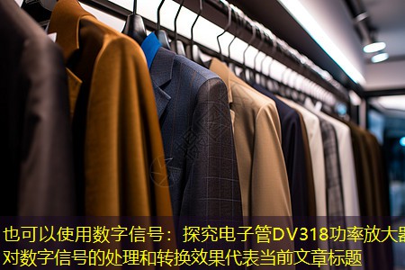 数字信号：探究电子管DV318功率放大器对数字信号的处理和转换效果