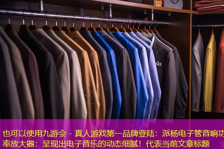 派杨电子管音响功率放大器:呈现出电子音乐的动态细腻! 派杨电子管音响功率放大器:呈现出电子音乐的动态细腻!