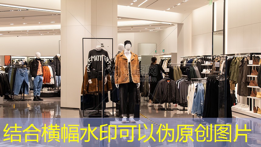 宠物电子芯片跑出来了 宠物电子芯片跑出来了