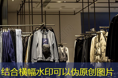 宠物电子芯片概念股票